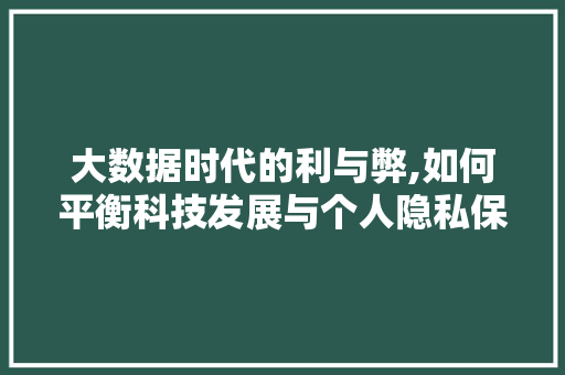 大数据时代的利与弊,如何平衡科技发展与个人隐私保护