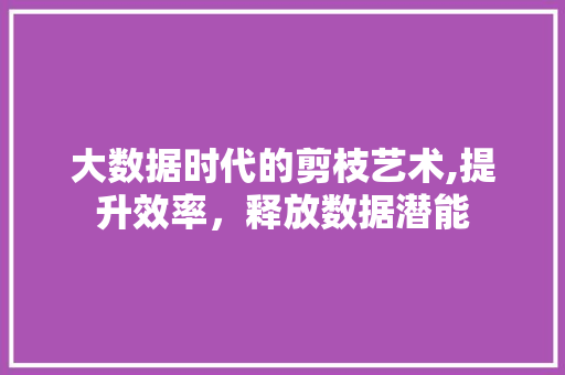 大数据时代的剪枝艺术,提升效率，释放数据潜能