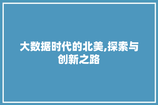 大数据时代的北美,探索与创新之路