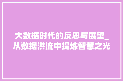 大数据时代的反思与展望_从数据洪流中提炼智慧之光 必应SEO