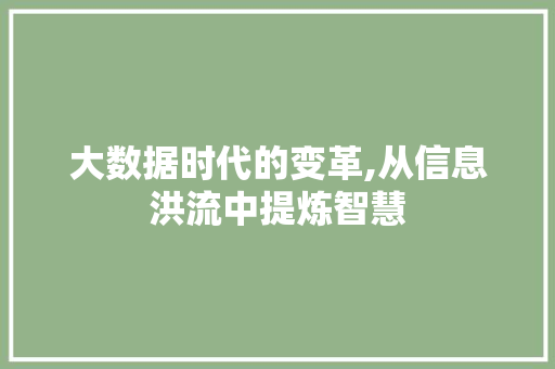 大数据时代的变革,从信息洪流中提炼智慧