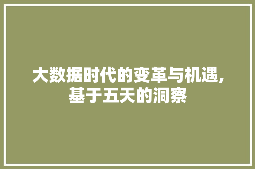 大数据时代的变革与机遇,基于五天的洞察