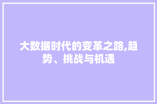 大数据时代的变革之路,趋势、挑战与机遇