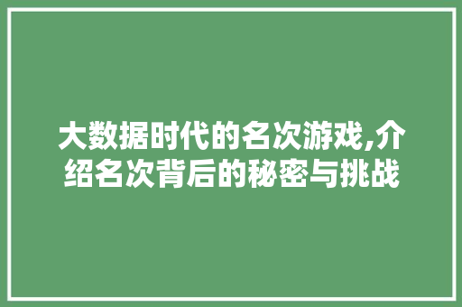 大数据时代的名次游戏,介绍名次背后的秘密与挑战