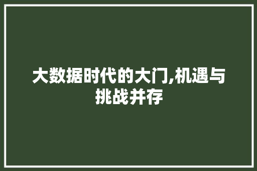 大数据时代的大门,机遇与挑战并存