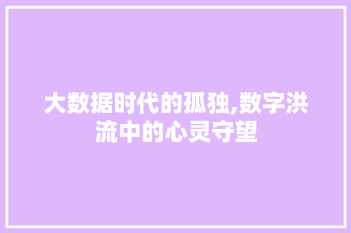 大数据时代的孤独,数字洪流中的心灵守望 必应SEO