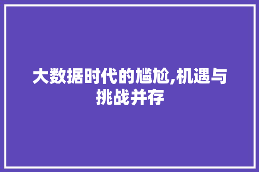 大数据时代的尴尬,机遇与挑战并存