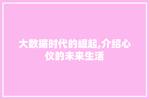 大数据时代的崛起,介绍心仪的未来生活