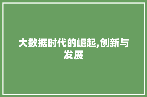 大数据时代的崛起,创新与发展