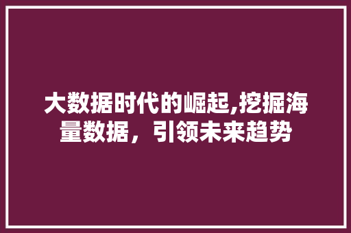 大数据时代的崛起,挖掘海量数据，引领未来趋势
