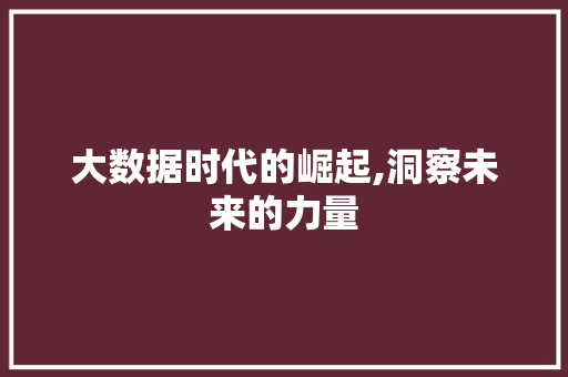 大数据时代的崛起,洞察未来的力量