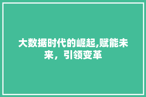 大数据时代的崛起,赋能未来，引领变革