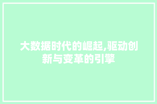 大数据时代的崛起,驱动创新与变革的引擎