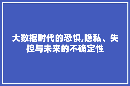 大数据时代的恐惧,隐私、失控与未来的不确定性