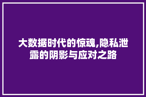 大数据时代的惊魂,隐私泄露的阴影与应对之路