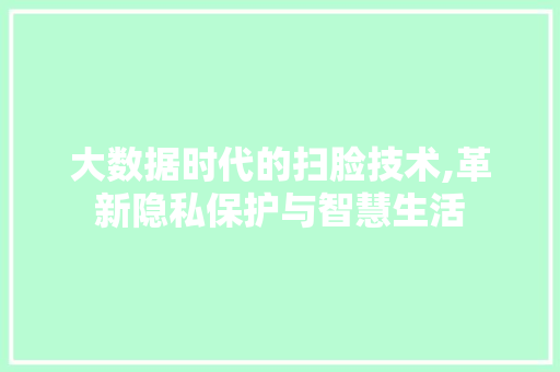 大数据时代的扫脸技术,革新隐私保护与智慧生活