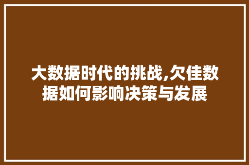 大数据时代的挑战,欠佳数据如何影响决策与发展 必应SEO