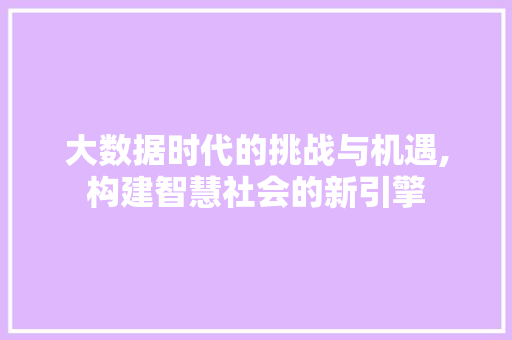 大数据时代的挑战与机遇,构建智慧社会的新引擎