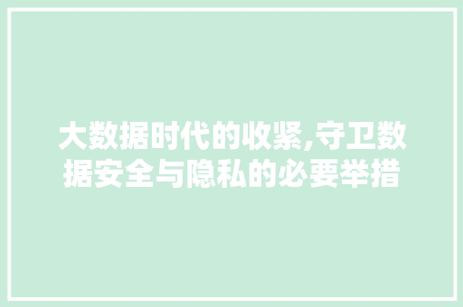 大数据时代的收紧,守卫数据安全与隐私的必要举措