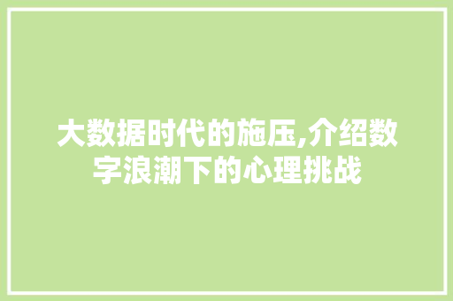 大数据时代的施压,介绍数字浪潮下的心理挑战