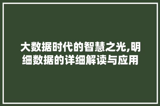 大数据时代的智慧之光,明细数据的详细解读与应用