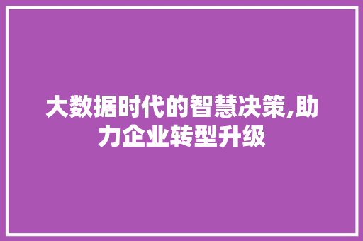 大数据时代的智慧决策,助力企业转型升级 必应SEO