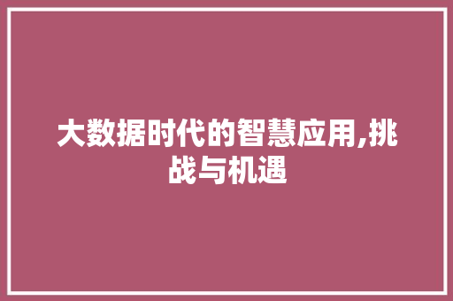 大数据时代的智慧应用,挑战与机遇 必应SEO