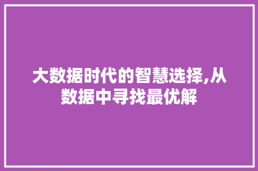 大数据时代的智慧选择,从数据中寻找最优解