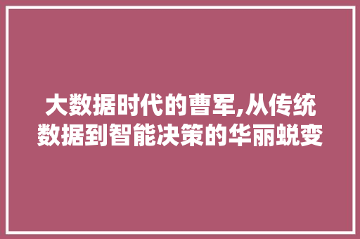 大数据时代的曹军,从传统数据到智能决策的华丽蜕变