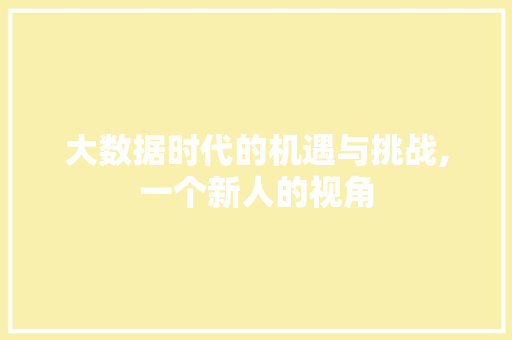 大数据时代的机遇与挑战,一个新人的视角
