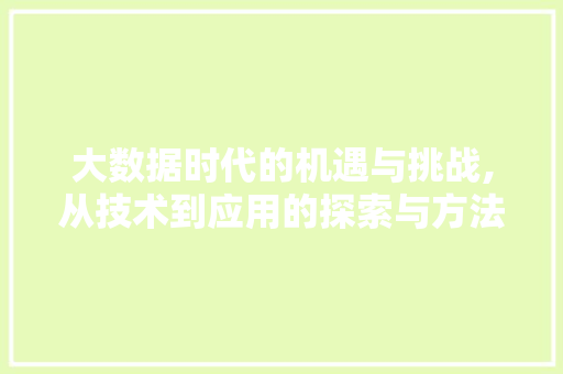 大数据时代的机遇与挑战,从技术到应用的探索与方法