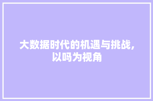 大数据时代的机遇与挑战,以吗为视角 必应SEO