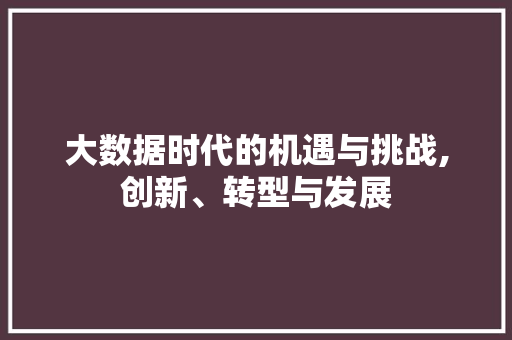 大数据时代的机遇与挑战,创新、转型与发展