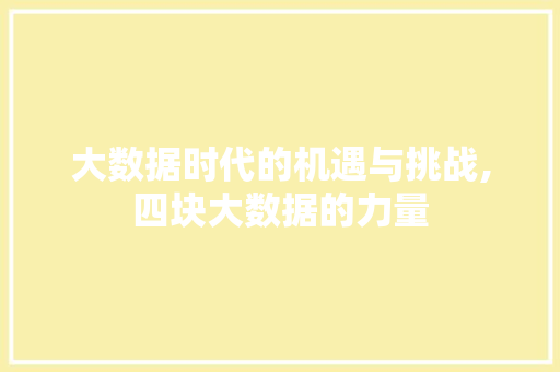 大数据时代的机遇与挑战,四块大数据的力量
