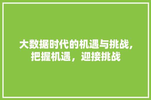 大数据时代的机遇与挑战,把握机遇，迎接挑战 神马SEO