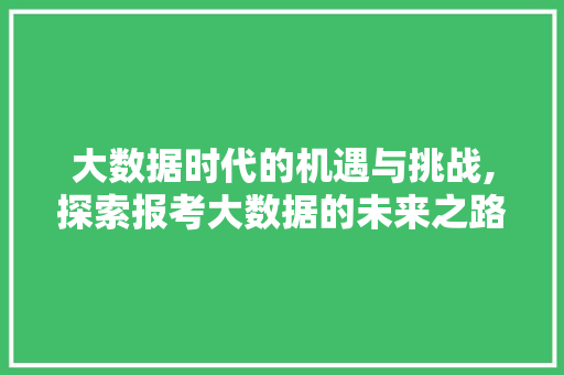 大数据时代的机遇与挑战,探索报考大数据的未来之路