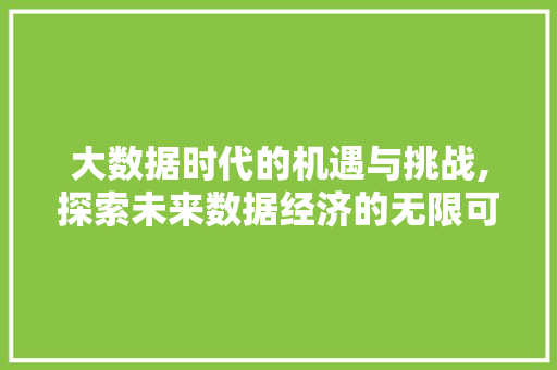 大数据时代的机遇与挑战,探索未来数据经济的无限可能