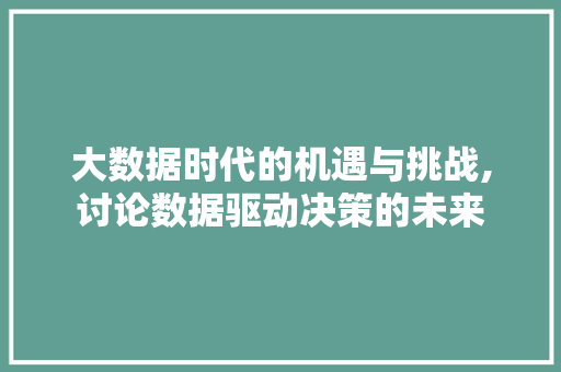 大数据时代的机遇与挑战,讨论数据驱动决策的未来 神马SEO