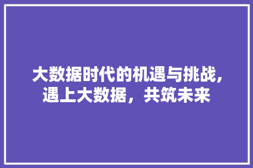 大数据时代的机遇与挑战,遇上大数据，共筑未来 搜狗SEO