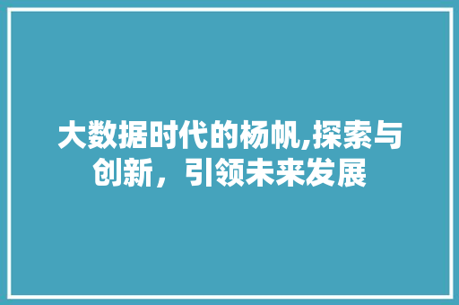 大数据时代的杨帆,探索与创新，引领未来发展