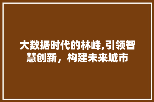 大数据时代的林峰,引领智慧创新，构建未来城市 百度SEO