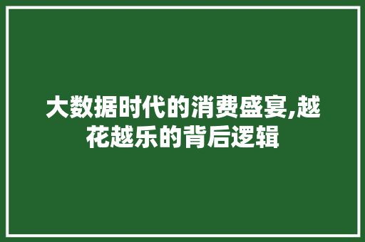 大数据时代的消费盛宴,越花越乐的背后逻辑 必应SEO
