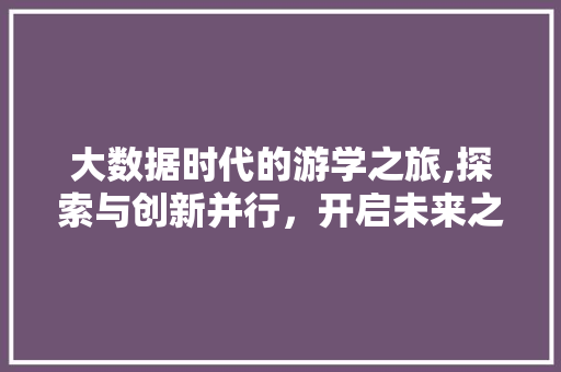 大数据时代的游学之旅,探索与创新并行，开启未来之门 必应SEO