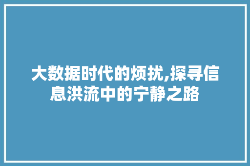 大数据时代的烦扰,探寻信息洪流中的宁静之路 搜狗SEO