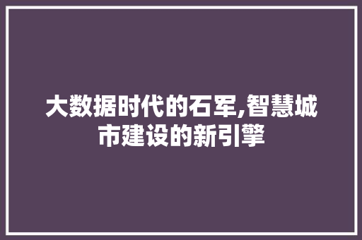 大数据时代的石军,智慧城市建设的新引擎