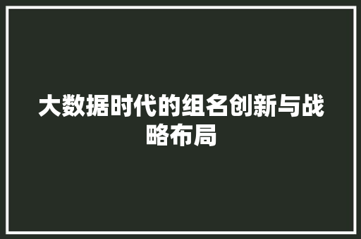 大数据时代的组名创新与战略布局 百度SEO