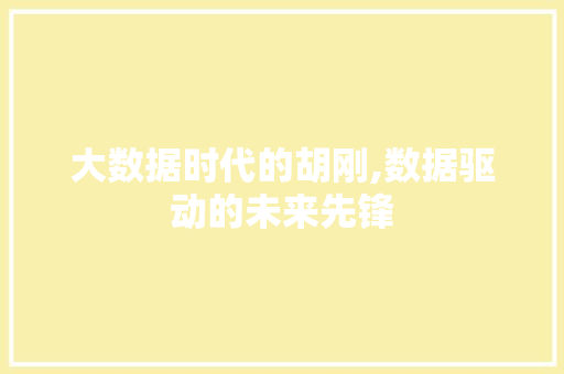 大数据时代的胡刚,数据驱动的未来先锋 神马SEO