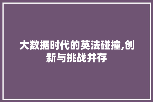大数据时代的英法碰撞,创新与挑战并存 GoogleSEO