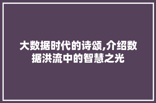 大数据时代的诗颂,介绍数据洪流中的智慧之光 GoogleSEO