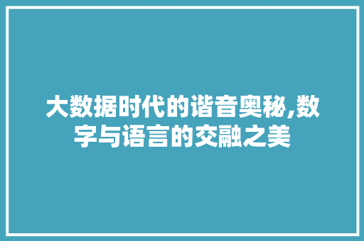 大数据时代的谐音奥秘,数字与语言的交融之美